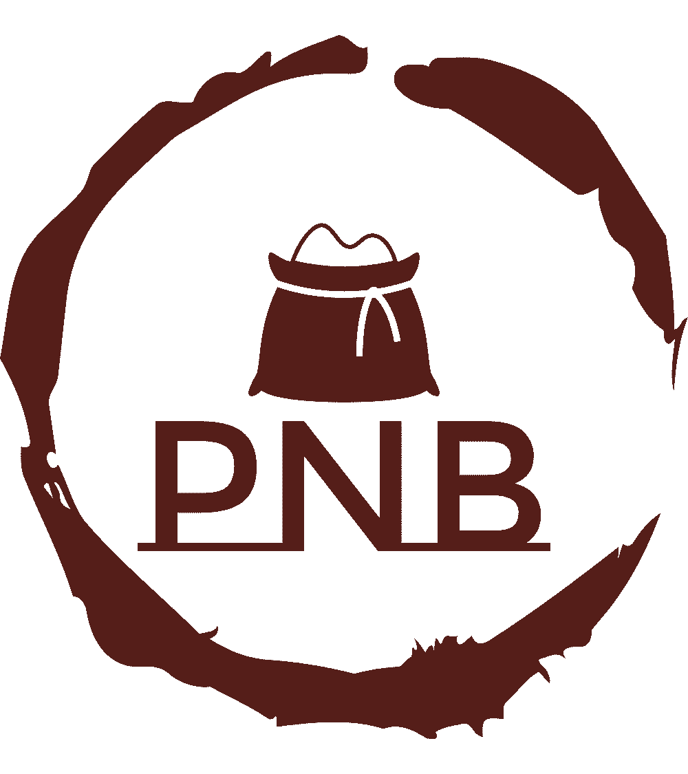 PNB Inventory Management and Invoice Generating Software Logo
